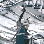 Reinigen von Decken, Leuchten und Metallverstrebungen